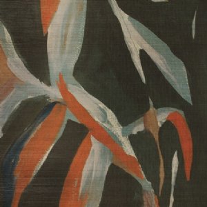 View W944/02 Kaitoke