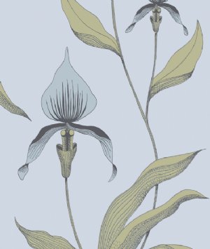 Viewing Orchid by Cole & Son