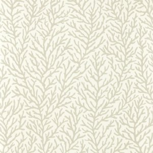 View Awakening / Diffused Light 112770