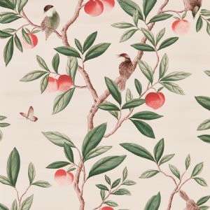 View 112907 Powder / Sage / Peach 