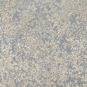 View W424/06 Andesite