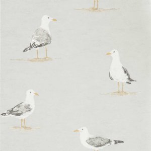 View Gull 216565