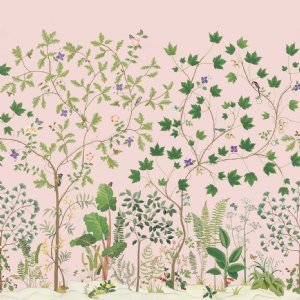 View WILD ROSE 217213