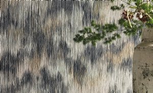 Viewing Hanawa by Black Edition