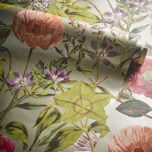 Viewing Passiflora by Clarke & Clarke