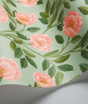 Viewing Hampton Roses by Cole & Son