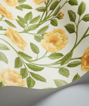 Viewing Hampton Roses by Cole & Son