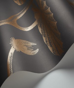 Viewing Lily 1 by Cole & Son