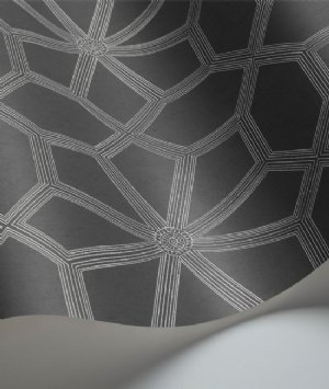 Viewing Wolsey Stars by Cole & Son