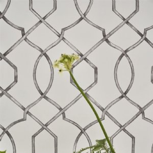 Viewing Rabeschi by Designers Guild