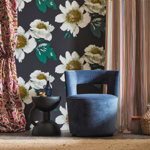Viewing Paeonia by Harlequin