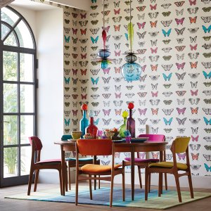 Viewing Papilio by Harlequin
