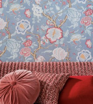 Viewing Brahmane by Manuel Canovas