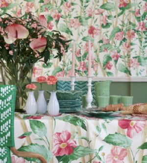 Viewing Elena by Manuel Canovas