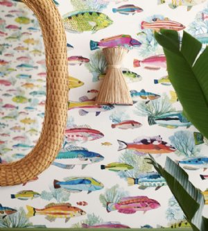 Viewing Fidjii by Manuel Canovas