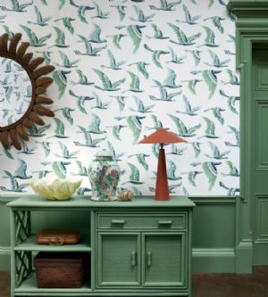 Viewing Hydra by Manuel Canovas
