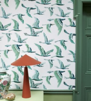 Viewing Hydra by Manuel Canovas
