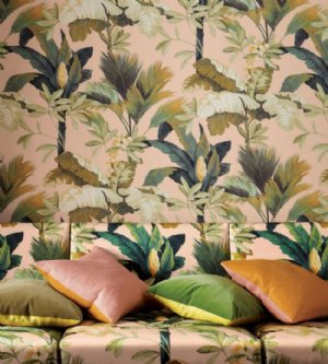 Viewing Salengro by Manuel Canovas