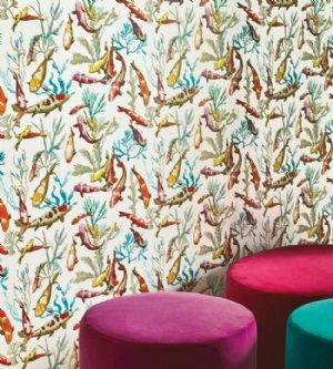 Viewing Salina by Manuel Canovas