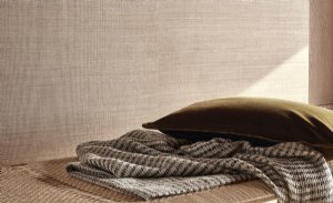 Viewing Abaca by Mark Alexander