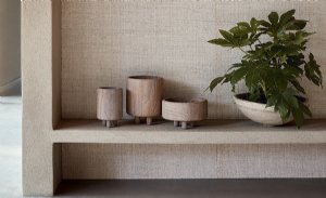 Viewing Banana Bark by Mark Alexander