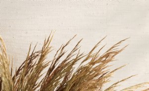 Viewing Burlap by Mark Alexander