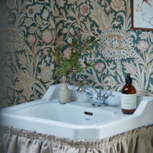 Viewing Trent by Morris & Co