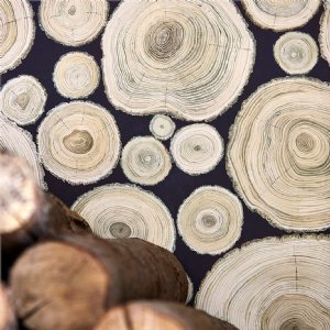 Viewing Alnwick Logs by Sanderson