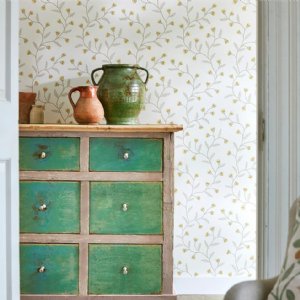 Viewing Everly by Sanderson