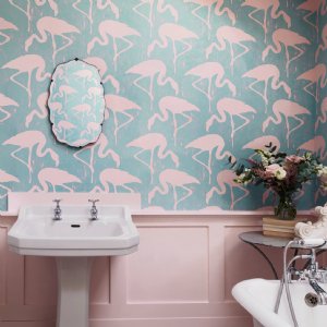 Viewing Flamingos by Sanderson