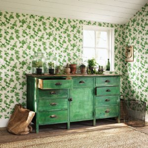 Viewing Hedera by Sanderson