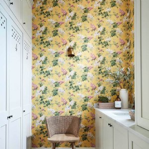 Viewing Sommerville by Sanderson