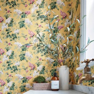 Viewing Sommerville by Sanderson