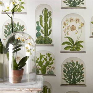 Viewing Terrariums by Sanderson