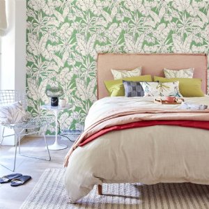 Viewing Parlour Palm by Scion