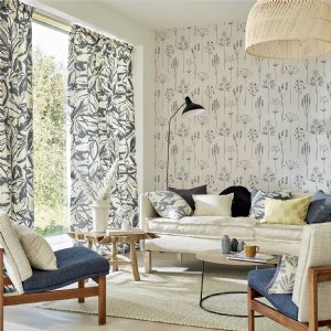 Viewing Stipa by Scion