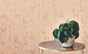 Viewing Raval Wallcovering by Villa Nova