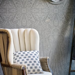 Viewing Grand Paisley by Zoffany