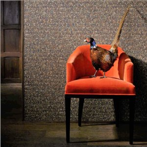 Viewing Icarus by Zoffany