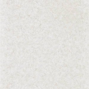 View Mushroom 312958