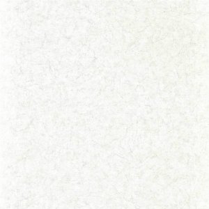 View Perfect White 312956