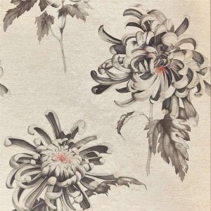 View Koi / Vine Black 312734