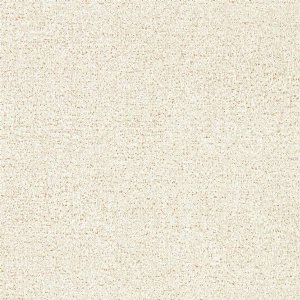 View Mushroom 312952