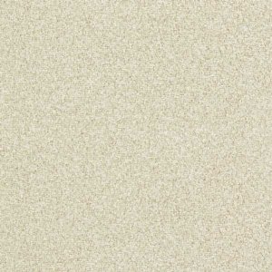 View Pale Silver 312926