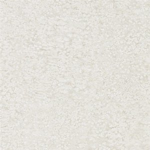 View Limestone 312639